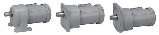 Parallel Shaft  (G3)(0.1kW-2.2kW)